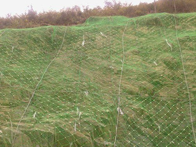 柔性邊坡防護(hù)網(wǎng) 柔性邊坡防護(hù)網(wǎng)