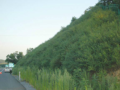 客土噴播植草 客土噴播植草