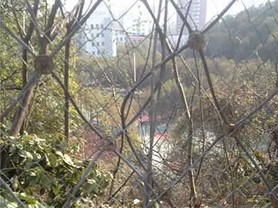 湖北黃石市白馬公園防護(hù)網(wǎng)案例 湖北黃石市白馬公園防護(hù)網(wǎng)案例