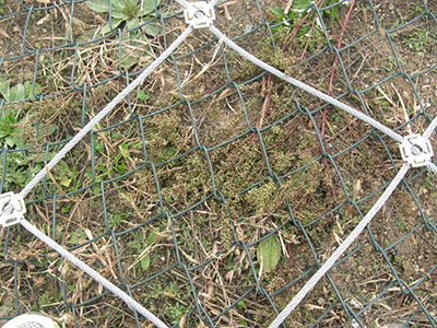 鋼絲格柵 鋼絲格柵