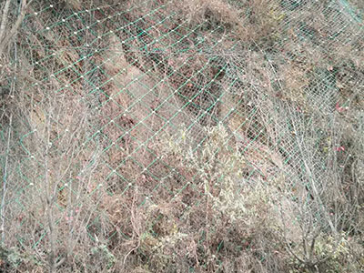 四川兩河鎮(zhèn)邊坡防護(hù)工程 四川兩河鎮(zhèn)邊坡防護(hù)工程